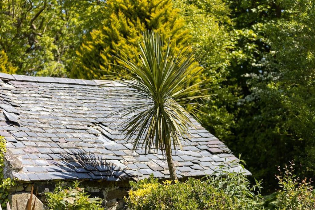 Plas Newydd With Swimming Pool, Fire Pit, And Log Fires Villa Rhiw Kültér fotó